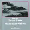 Brasschaats Mandoline Orkest - Bmo